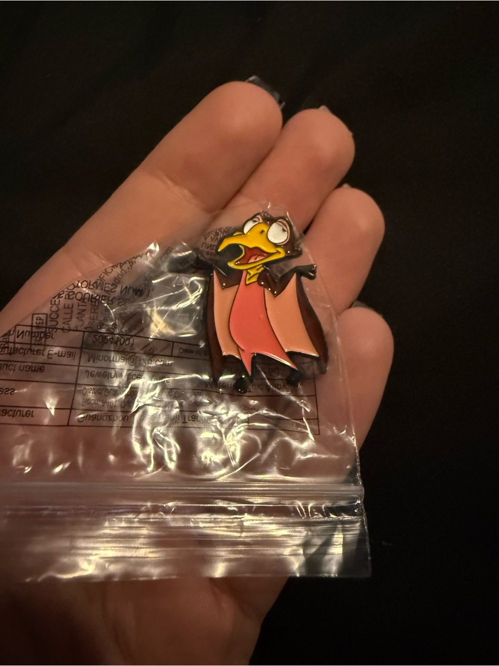 🌟Bundle Sale Land Before Time Pin